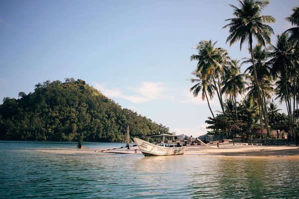 Quels sont les meilleurs conseils pour camper en forêt de chênes en automne?