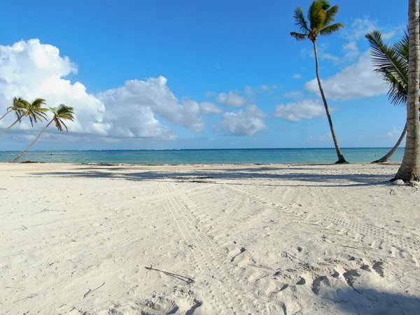 Comment découvrir les traditions de la cuisine mexicaine à Oaxaca?